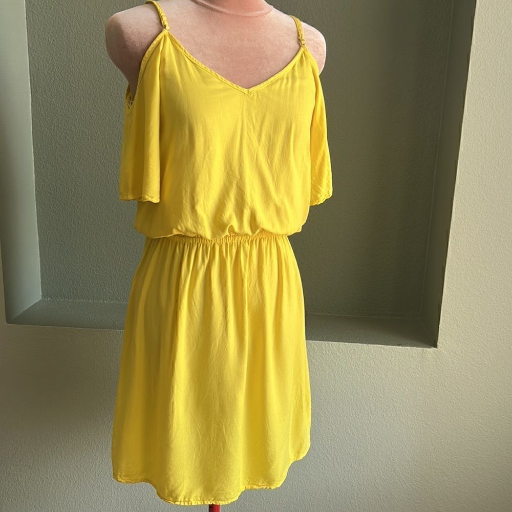 Splendid Dress - Picture 3 of 6